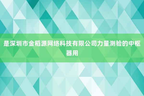 是深圳市金稻源网络科技有限公司力量测验的中枢器用