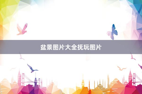 盆景图片大全抚玩图片