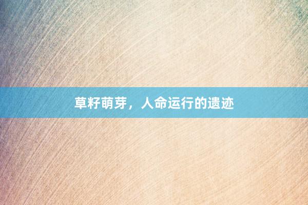 草籽萌芽，人命运行的遗迹