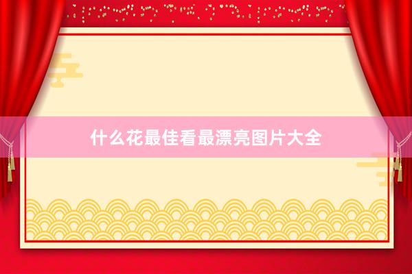 什么花最佳看最漂亮图片大全