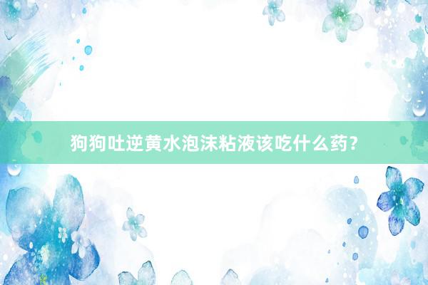 狗狗吐逆黄水泡沫粘液该吃什么药？