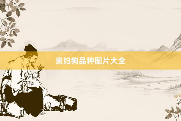 贵妇狗品种图片大全