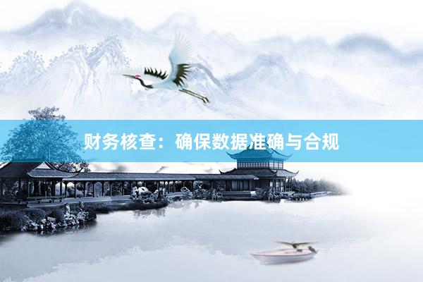 财务核查：确保数据准确与合规