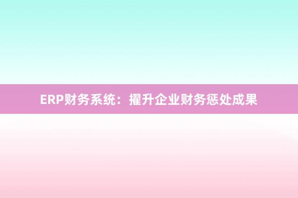 ERP财务系统：擢升企业财务惩处成果